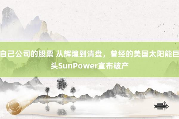 自己公司的股票 从辉煌到清盘，曾经的美国太阳能巨头SunPower宣布破产